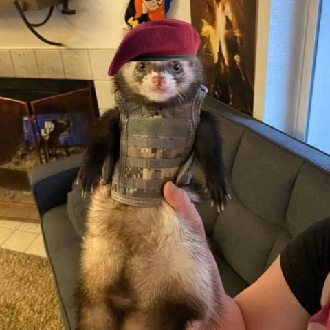 Тимофей Антипов