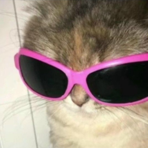 Владислав Карбышев