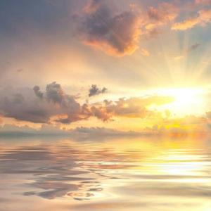 Никита Гладышев